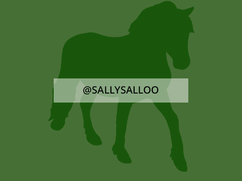 @SALLYSALLOO