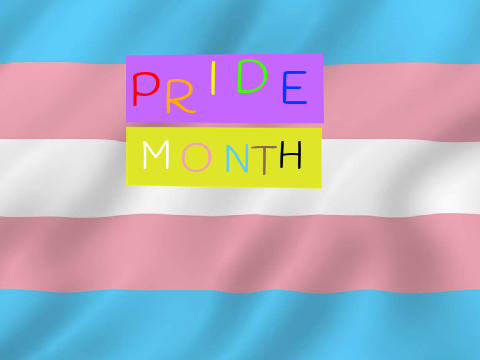All about the Trans Flag