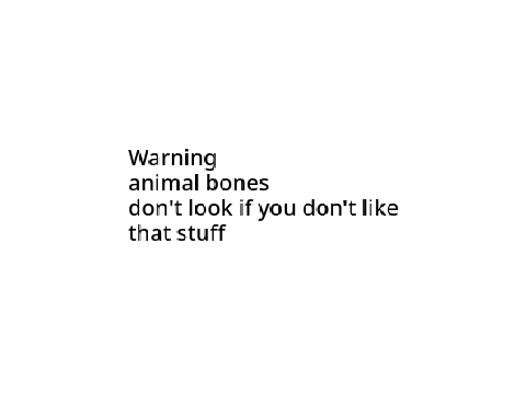 bones