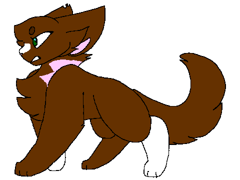 Brokenclaw for Dawnclan