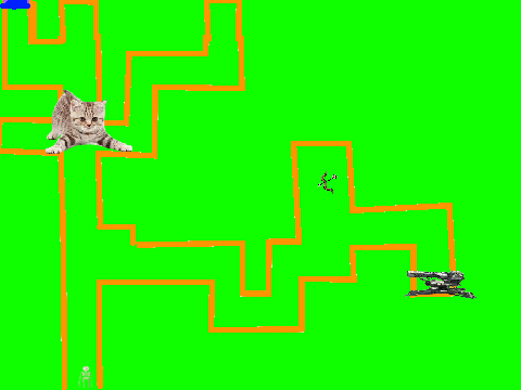 qd maze final