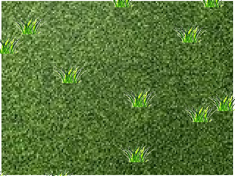 Grass