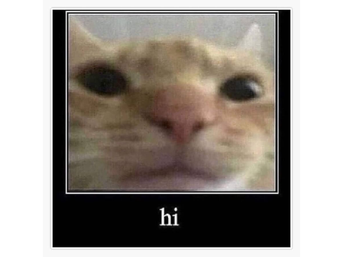 Im not dead waow