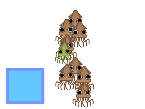 Squid party