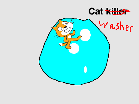 cat in a washing machine simulator