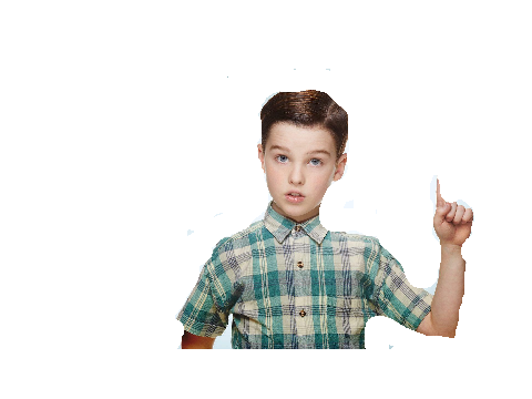 YOUNG SHELDON MATHS GAME!