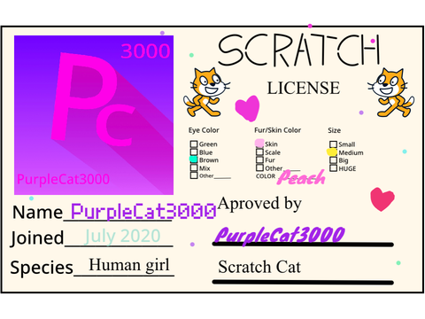 My Scratch License!!!