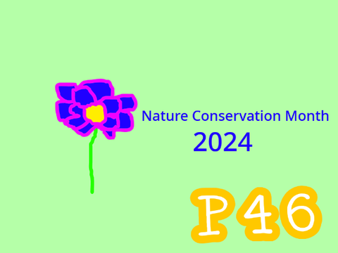Nature Conservation Month 2024 