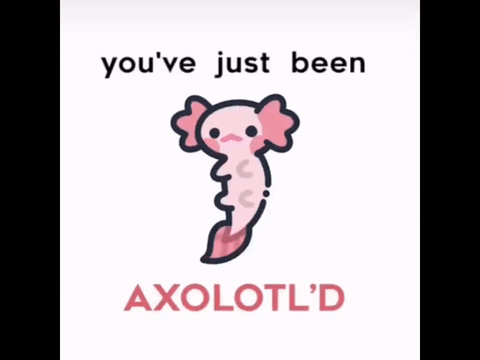 You've just been Axolotl'd #Art remix