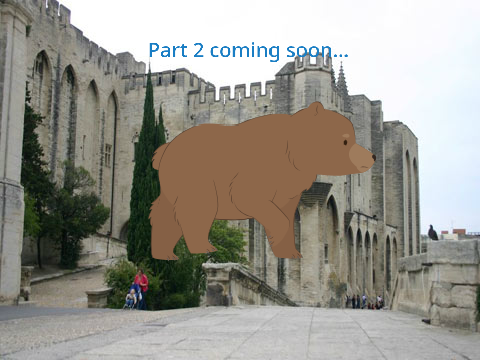 What is with the bear