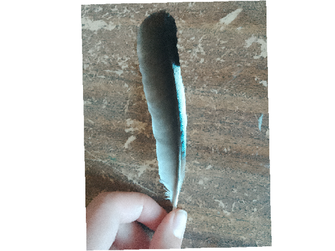 Finally i found it