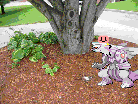 Add_Yourself_snugglling_Palkia[1][1][1]