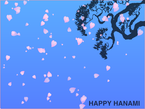 Falling Cherry blossoms - HANAMI