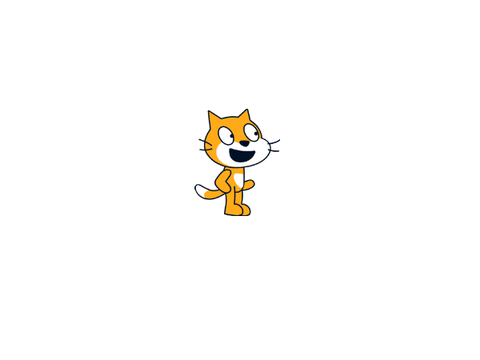 Use with credit cat