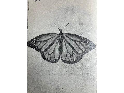 A few more sketches