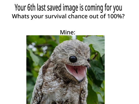 oh no