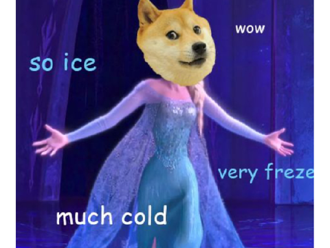 Doge memes