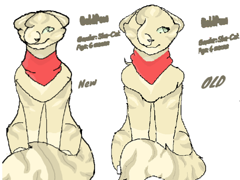 Warrior Cat (+OC+) OLD STYLE