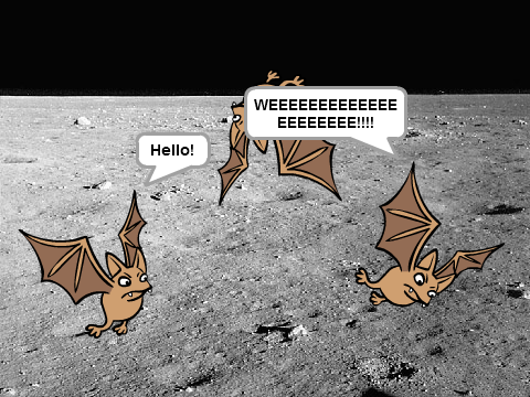 BATS!!!!!!!!!!!!!!!!!!!!!!!!!!!!!!!!!!!!!!!!!!!!!!!!!!!!!!!!!!!!!!!!!!!!!!!!!!!!!!!!!!!!!!!!!!!!!!!!