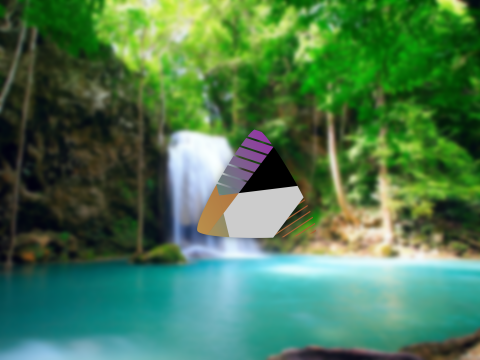 Wix, Evolved.