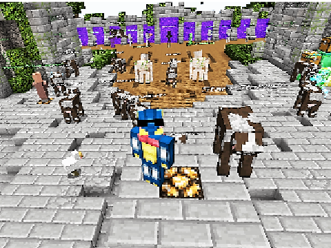 So Many Cows!