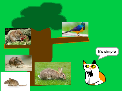 Adopt a Thunderclan cat - Sorreltail hunting!