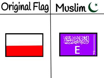 I Will Remake Your Flag in Muslim Style! remix