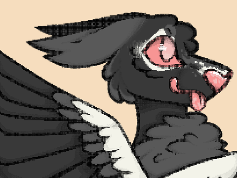 Pigeon entry // 6 //