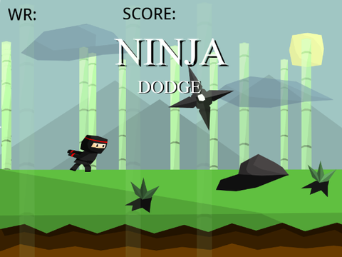 Ninja Dodge