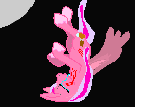 falling contest remix