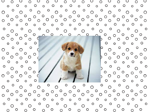 cute dog + Love yourself