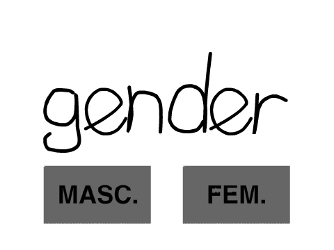French Noun Gender Exceptions -Flashcards-
