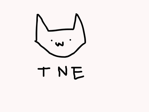 TNE