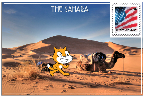 Scratch Cat in the Sahara desert!