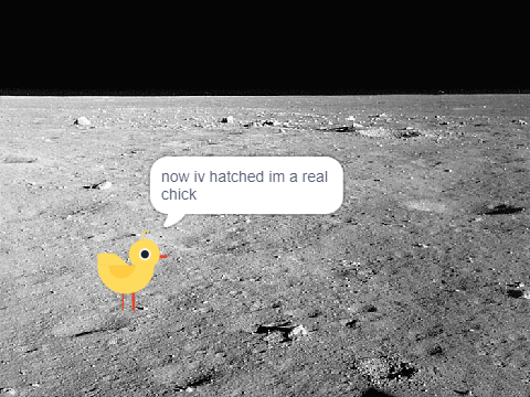 animal party on the moon