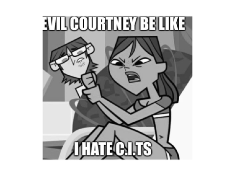 Total Drama memes