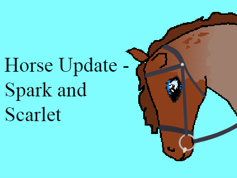 Horse Update - Spark and Scarlet