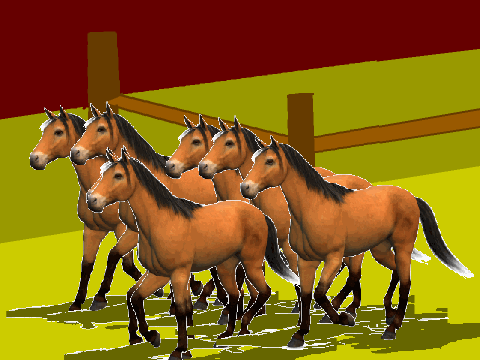Horses trotting!  remix