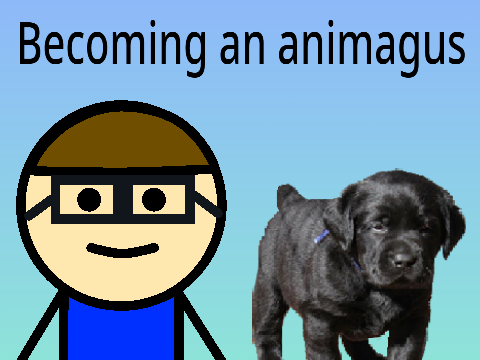 Becoming an animagus