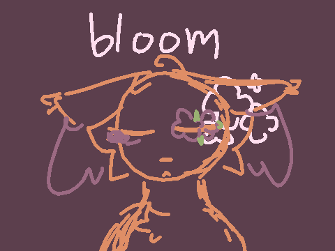 bloom (DTAE)