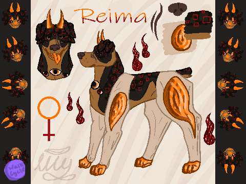 Gelatiia MYOE - Reima