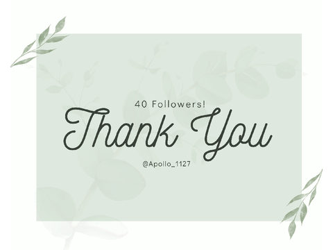 40 Followers!