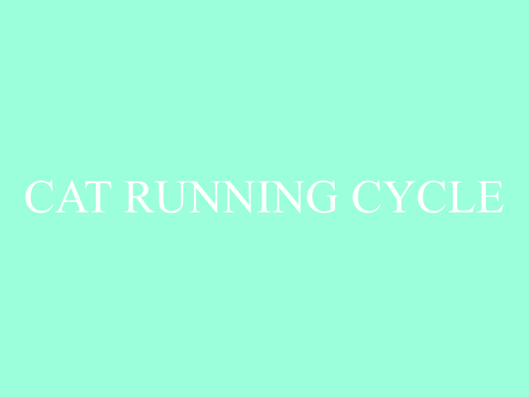 CAT RUNNING CYCLE