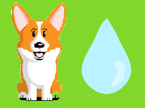 Rain and Corgis