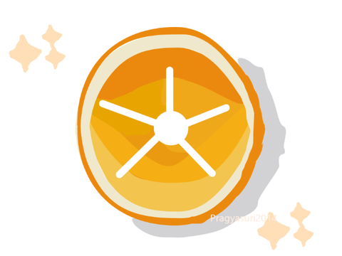 Orange/Lemon Art