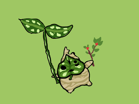 LEGENDS OF ZELDA KOROK DRAWING
