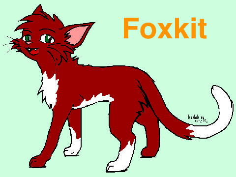 Warrior Character - Foxkit