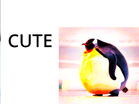 CUTE PENGIUNS