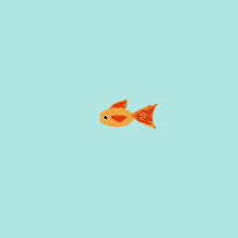 « Fish »