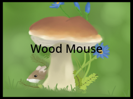 A Wood Mouse :) My entry